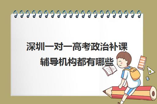 深圳一对一高考政治补课辅导机构都有哪些(深圳高中补课一对一价格)