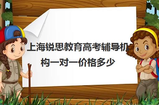 上海锐思教育高考辅导机构一对一价格多少（高考辅导培训学校）