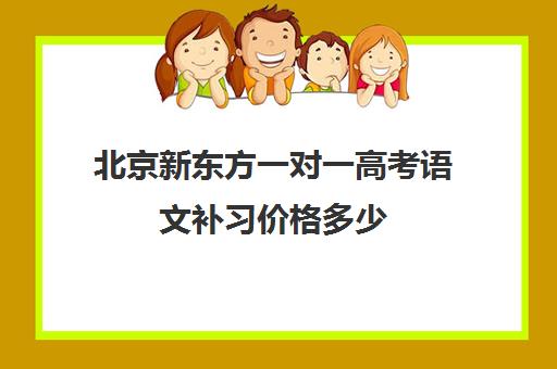 北京新东方一对一高考语文补习价格多少