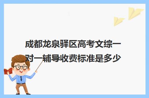 成都龙泉驿区高考文综一对一辅导收费标准是多少补课多少钱一小时(成都高考文化课补课