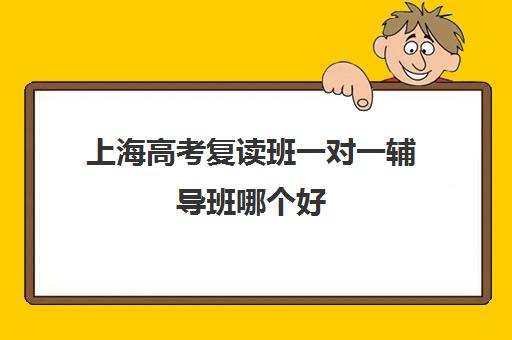 上海高考复读班一对一辅导班哪个好(上海高考辅导机构)