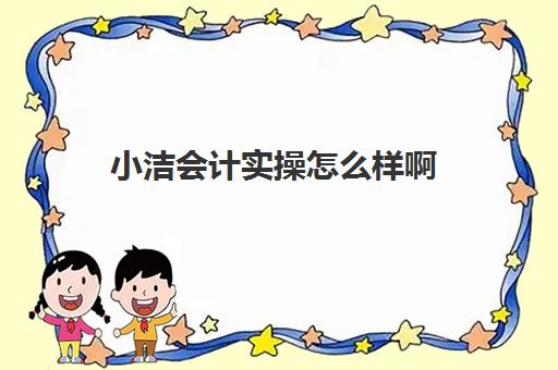 小洁会计实操怎么样啊(有没有老会计带新手的)