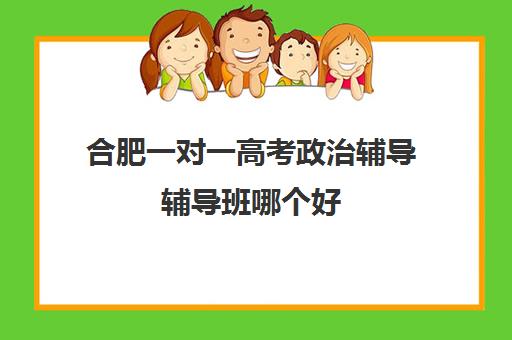 合肥一对一高考政治辅导辅导班哪个好(合肥比较出名高中辅导班)