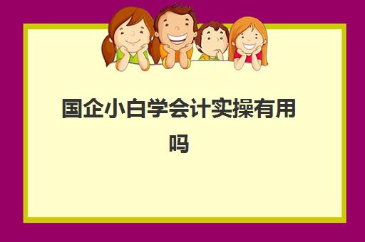 国企小白学会计实操有用吗(会计专业进国企难吗)