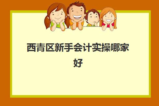 西青区新手会计实操哪家好(会计培训班有用吗)