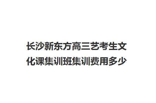 长沙新东方高三艺考生文化课集训班集训费用多少钱(艺考集训一般多少钱)