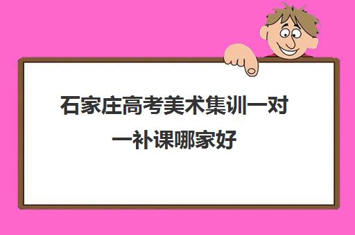 石家庄高考美术集训一对一补课哪家好(石家庄高三补课的机构哪家好)