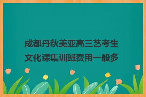 成都丹秋美亚高三艺考生文化课集训班费用一般多少钱(成都美术艺考培训机构排行榜前十