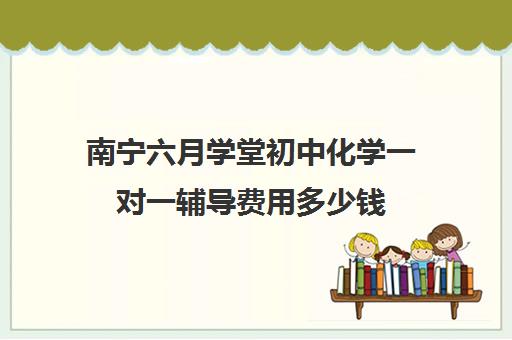 南宁六月学堂初中化学一对一辅导费用多少钱(初中化学讲义)