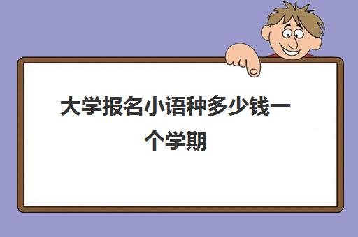 大学报名小语种多少钱一个学期(学小语种是不是很烧钱)