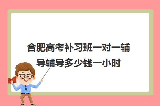 合肥高考补习班一对一辅导辅导多少钱一小时