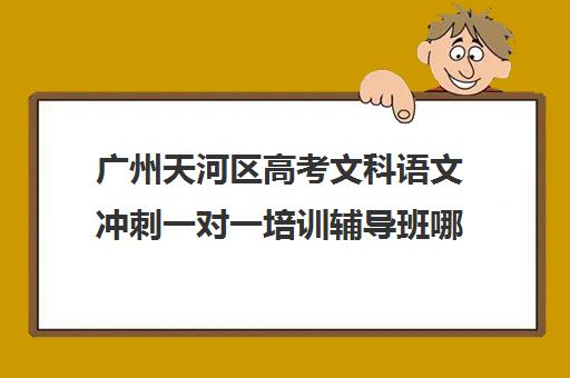 广州天河区高考文科语文冲刺一对一培训辅导班哪个好(广州高中补课机构排名)