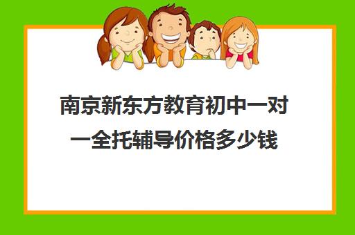 南京新东方教育初中一对一全托辅导价格多少钱(南京比较好的补课机构)