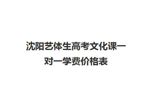 沈阳艺体生高考文化课一对一学费价格表(沈阳艺考生文化课冲刺机构)