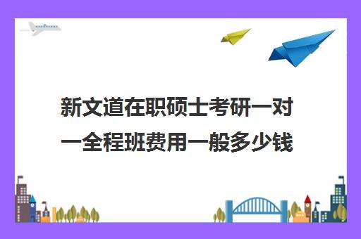 新文道在职硕士考研一对一全程班费用一般多少钱（在职考研哪家机构好）