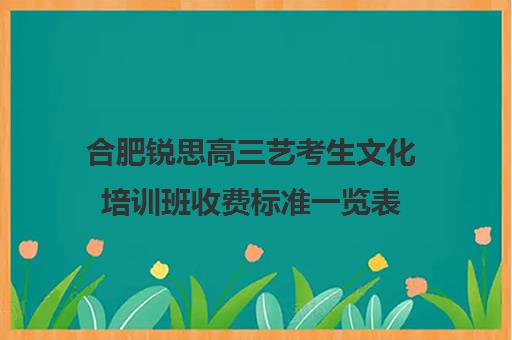 合肥锐思高三艺考生文化培训班收费标准一览表(合肥艺考培训机构哪家好)