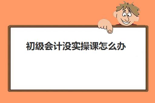 初级会计没实操课怎么办(初级会计课程听不懂怎么办)