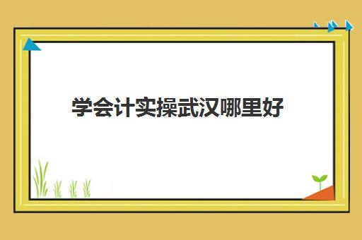 学会计实操武汉哪里好(会计自学还是报班)