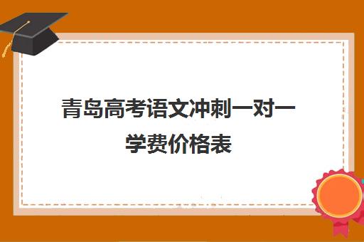 青岛高考语文冲刺一对一学费价格表(高考一对一辅导机构哪个好)