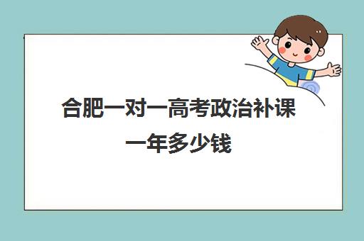 合肥一对一高考政治补课一年多少钱(高中数学一对一多少钱一节课)