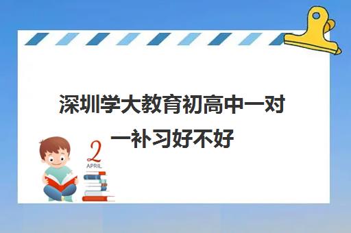 深圳学大教育初高中一对一补习好不好