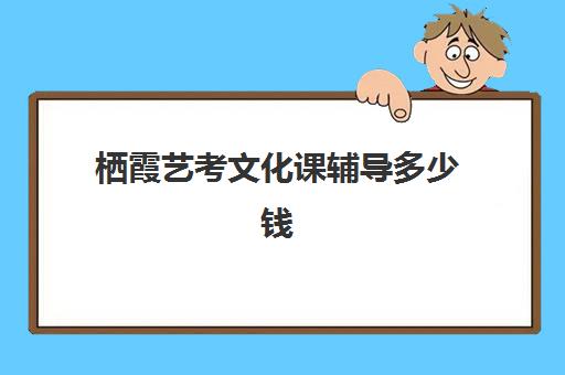 栖霞艺考文化课辅导多少钱(编导大概要多少钱)