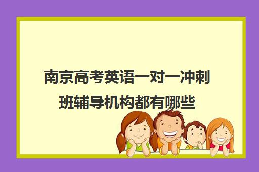 南京高考英语一对一冲刺班辅导机构都有哪些(高考英语一对一收费)