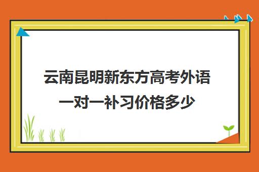 云南昆明新东方高考外语一对一补习价格多少