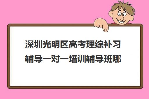 深圳光明区高考理综补习辅导一对一培训辅导班哪个好