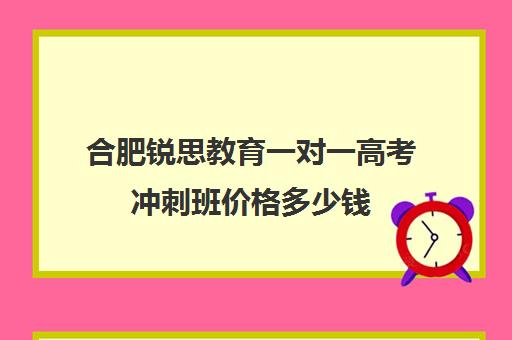 合肥锐思教育一对一高考冲刺班价格多少钱(锐思教育官网)