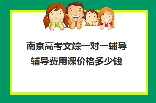 南京高考文综一对一辅导辅导费用课价格多少钱(高考一对一辅导多少钱一小时)