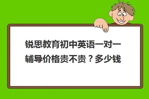 锐思教育初中英语一对一辅导价格贵不贵？多少钱一年（锐思教育官网）