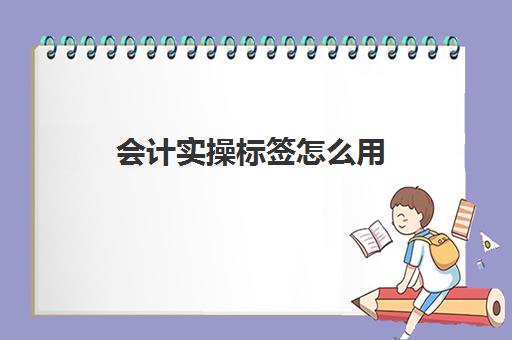 会计实操标签怎么用(新手会计如何录入凭证)