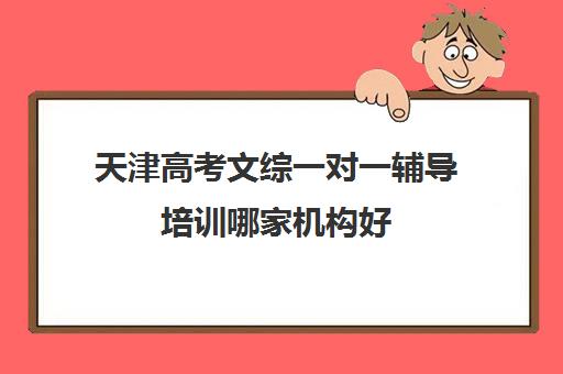 天津高考文综一对一辅导培训哪家机构好(高考线上辅导机构有哪些比较好)