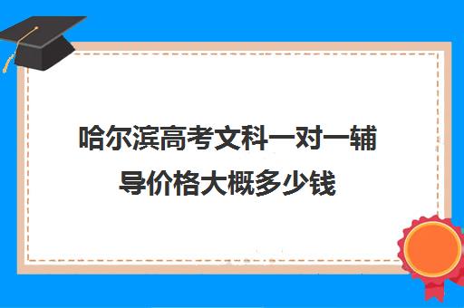 哈尔滨高考文科一对一辅导价格大概多少钱(哈尔滨一对一辅导排名)