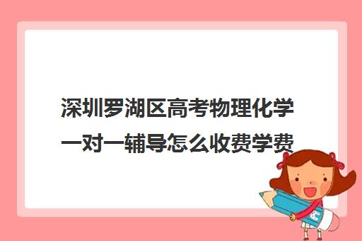 深圳罗湖区高考物理化学一对一辅导怎么收费学费多少钱(高中数理化网课哪家好)