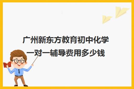 广州新东方教育初中化学一对一辅导费用多少钱(新东方补课有效果吗)