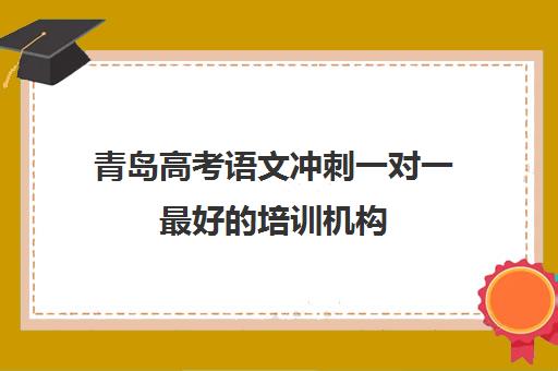 青岛高考语文冲刺一对一最好的培训机构(高考线上辅导机构有哪些比较好)