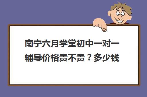 南宁六月学堂初中一对一辅导价格贵不贵？多少钱一年(一对一50元一个小时贵不贵)