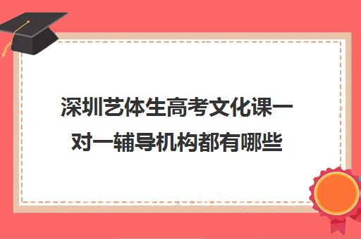 深圳艺体生高考文化课一对一辅导机构都有哪些(深圳高中培训机构排名榜)