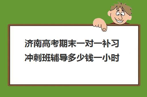 济南高考期末一对一补习冲刺班辅导多少钱一小时