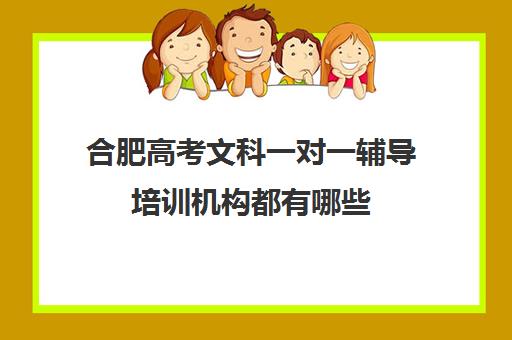 合肥高考文科一对一辅导培训机构都有哪些(合肥艺考生文化课培训机构排名)