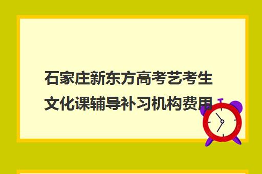 石家庄新东方高考艺考生文化课辅导补习机构费用一般多少钱