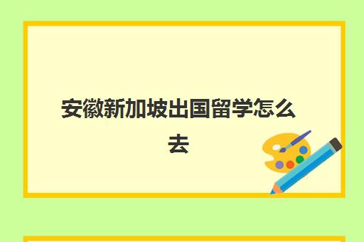 安徽新加坡出国留学怎么去(新加坡留学可以打工吗)