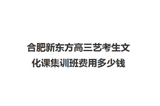 合肥新东方高三艺考生文化课集训班费用多少钱(合肥艺考生文化课培训机构排名)