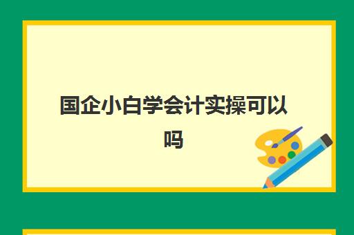 国企小白学会计实操可以吗(没学过会计直接工作难吗)