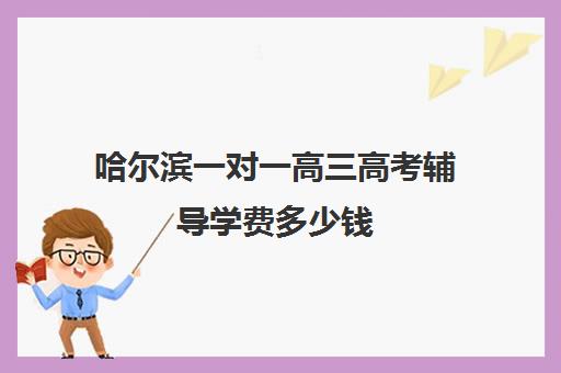 哈尔滨一对一高三高考辅导学费多少钱(一对一辅导收费)