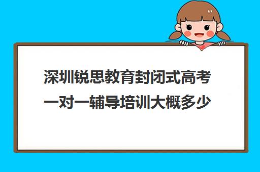 深圳锐思教育封闭式高考一对一辅导培训大概多少钱(深圳高中培训机构排名榜)