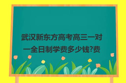 武汉新东方高考高三一对一全日制学费多少钱?费用一览表(新东方全日制高考班怎么样)