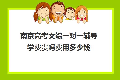 南京高考文综一对一辅导学费贵吗费用多少钱(高考一对一辅导多少钱一小时)